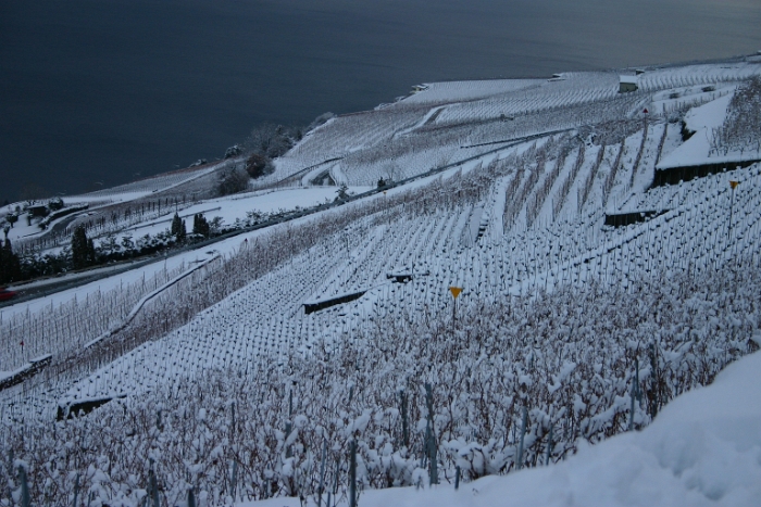 Neige sur la Riviera - 085